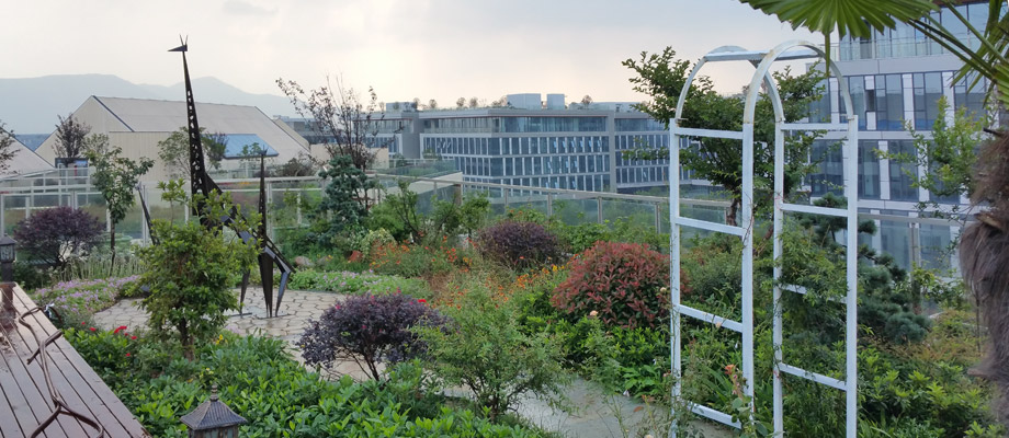 南京萬(wàn)通城市建設設計院弱電系統項目案例。